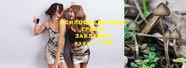 а пвп мука Тавда