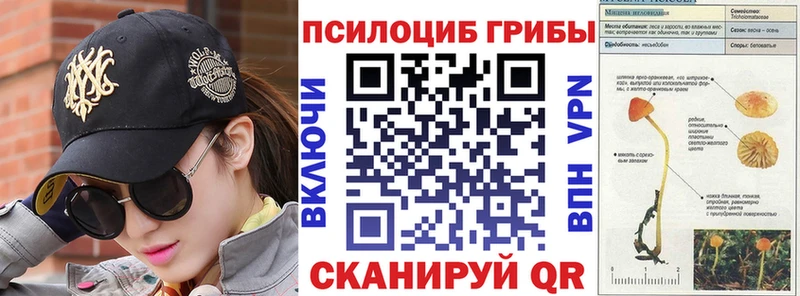 Псилоцибиновые грибы Cubensis  Купить закладки  Зеленогорск 