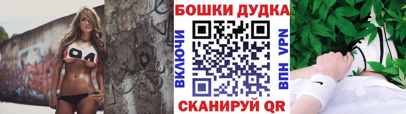 Бошки марихуана марихуана  Купить где  Зеленогорск 